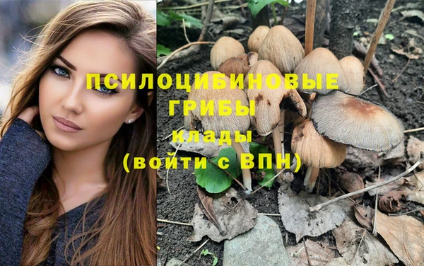 дживик Абинск