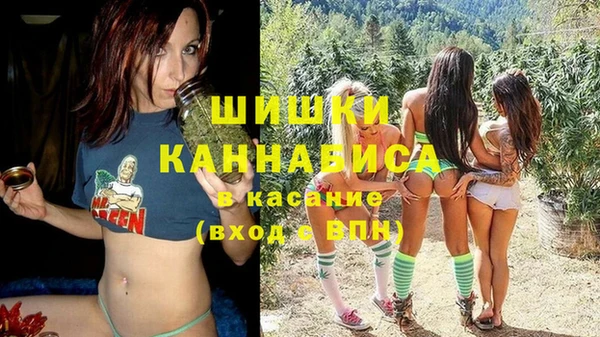 дживик Абинск