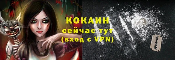 дживик Абинск