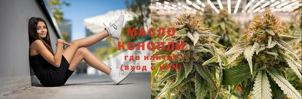 дживик Абинск