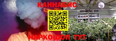 стаф Краснодар