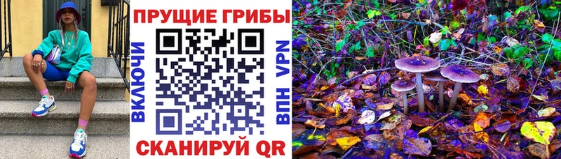 Псилоцибиновые грибы GOLDEN TEACHER Клинцы